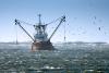 fishing ship