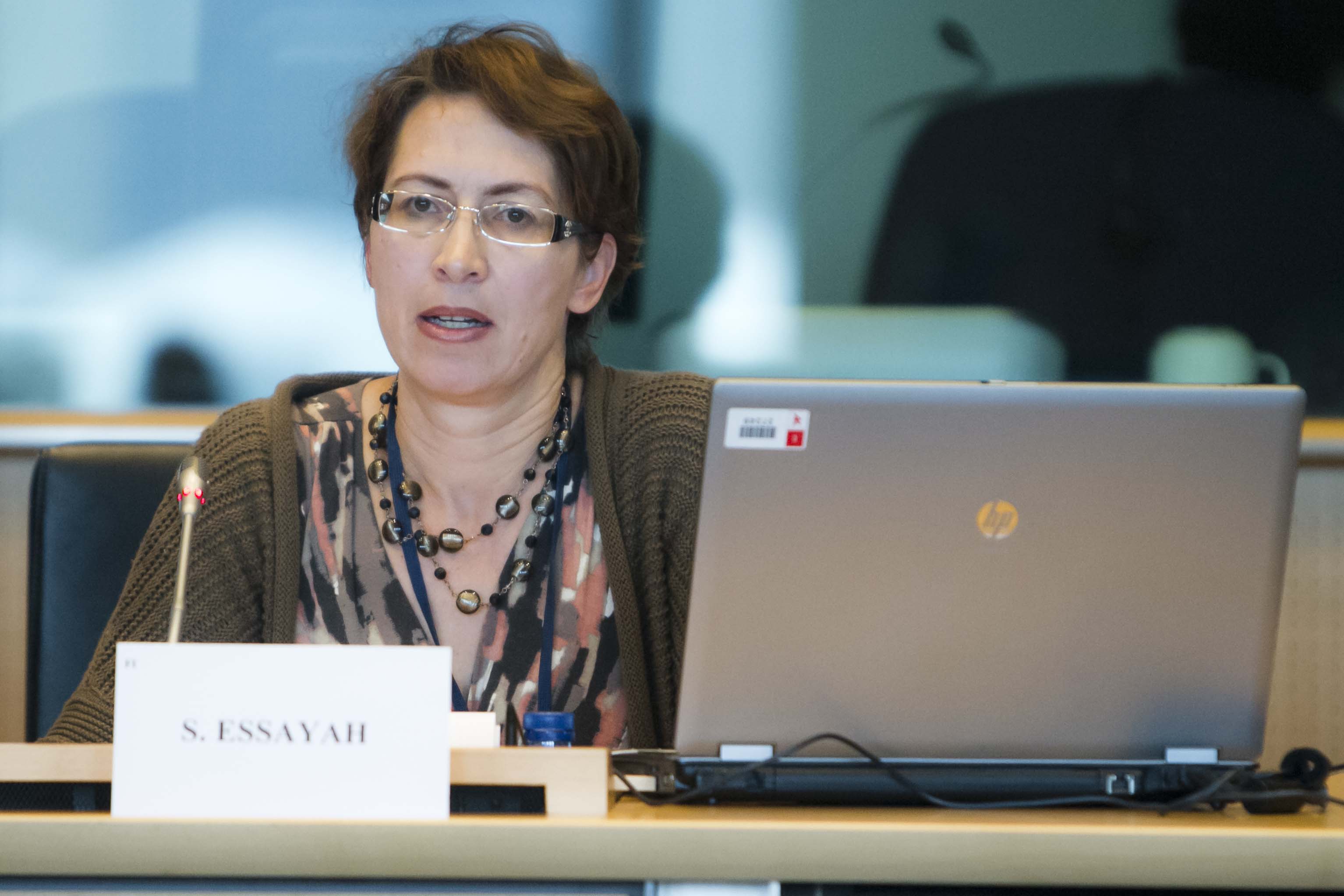 Sari essayah mep 06 image