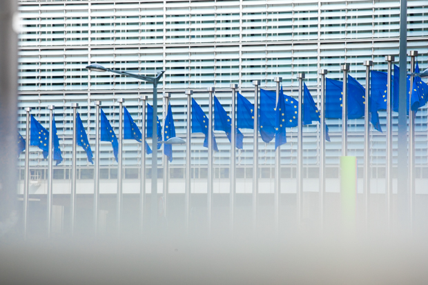 EU flags