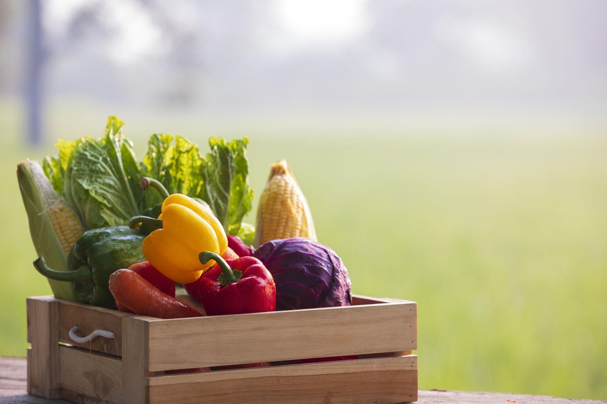 Organic vegetables and fruits