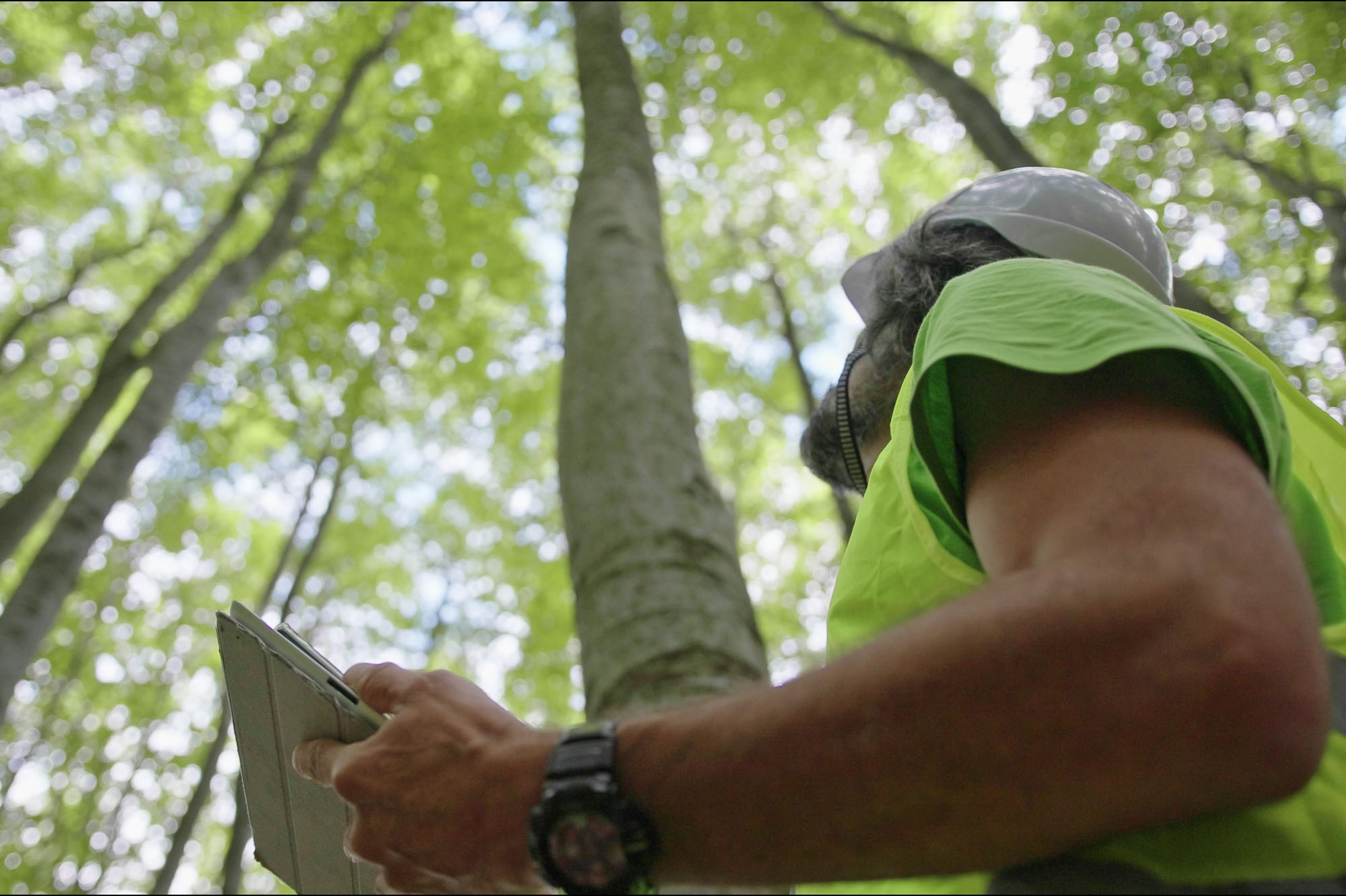 Ecologist on fieldwork