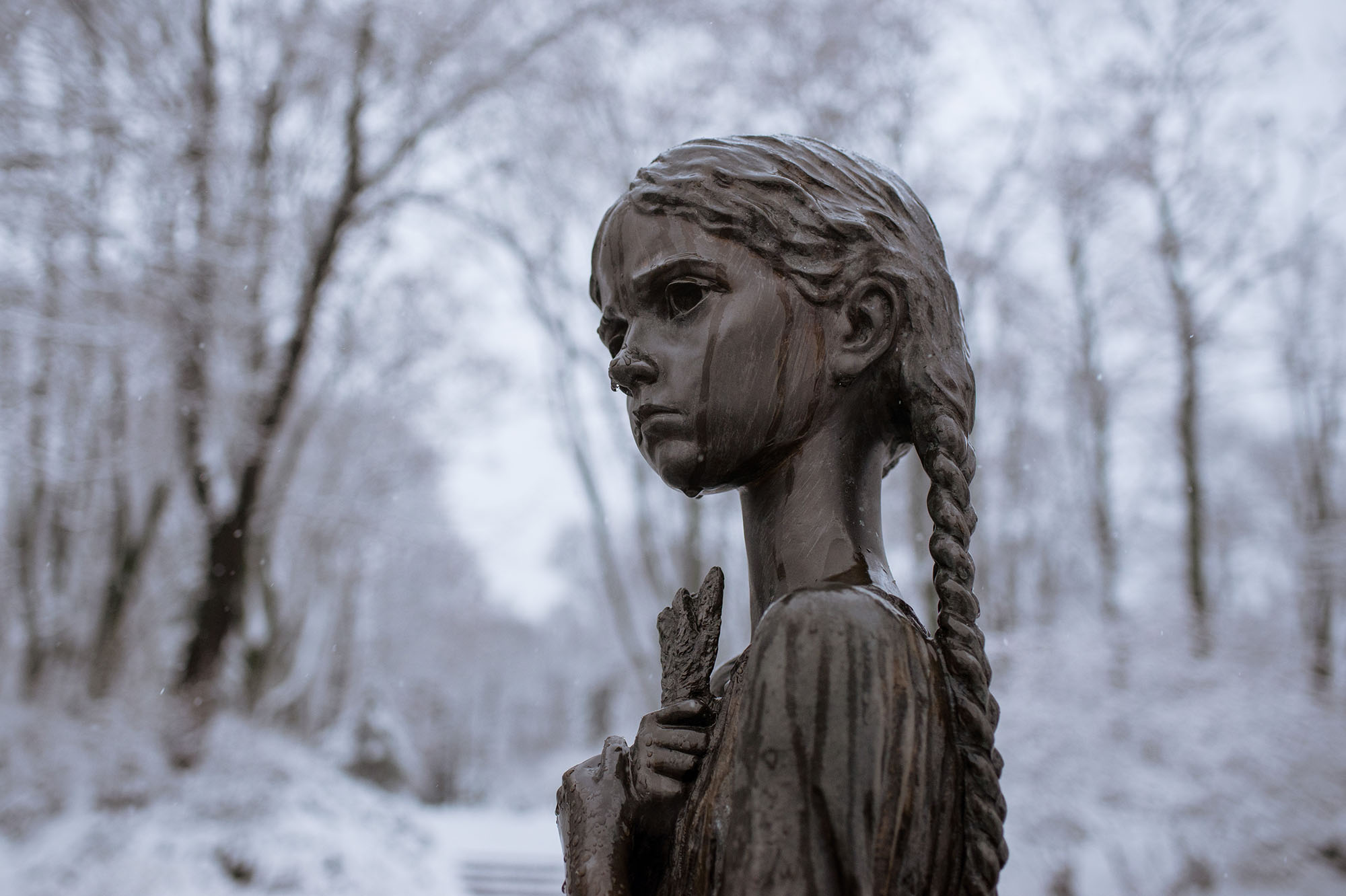 Victims of the Holodomor commemorated despite the snow in Kyiv