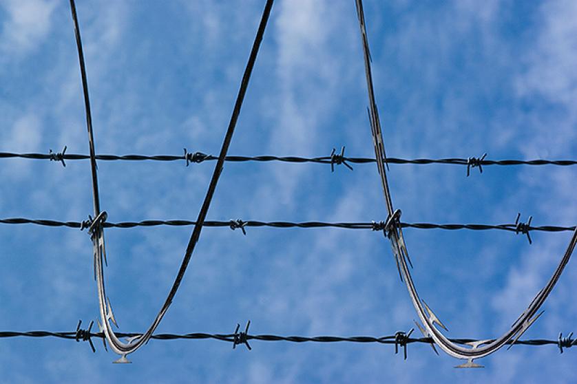 Barbed wire