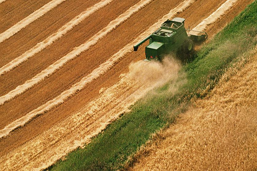 Agriculture and rural development