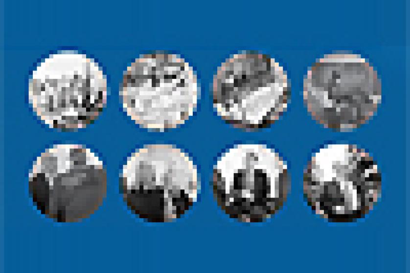 Pubblicazione picture