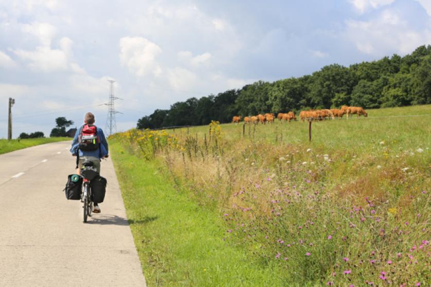 Transport and Tourism