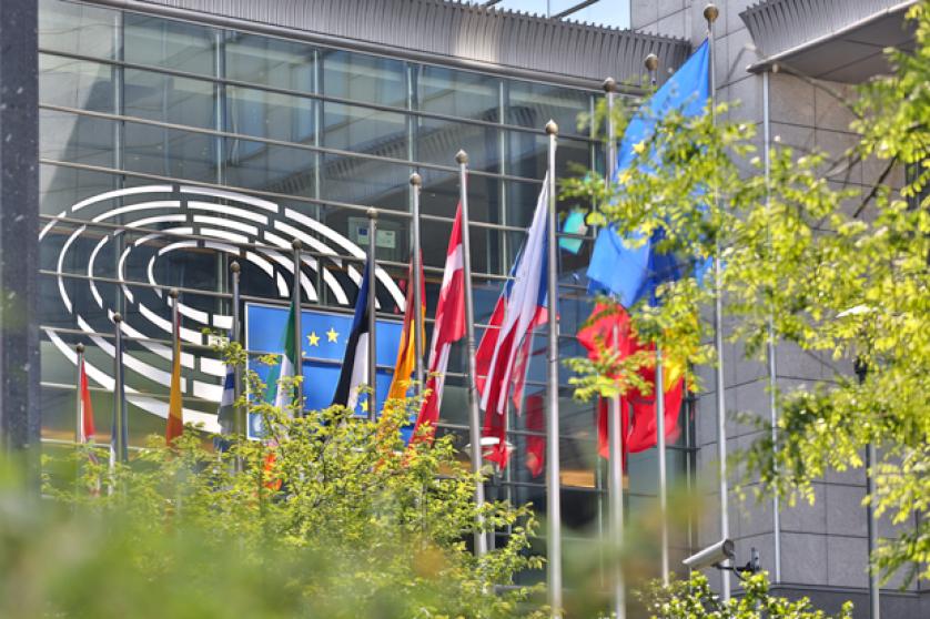 European Parliament