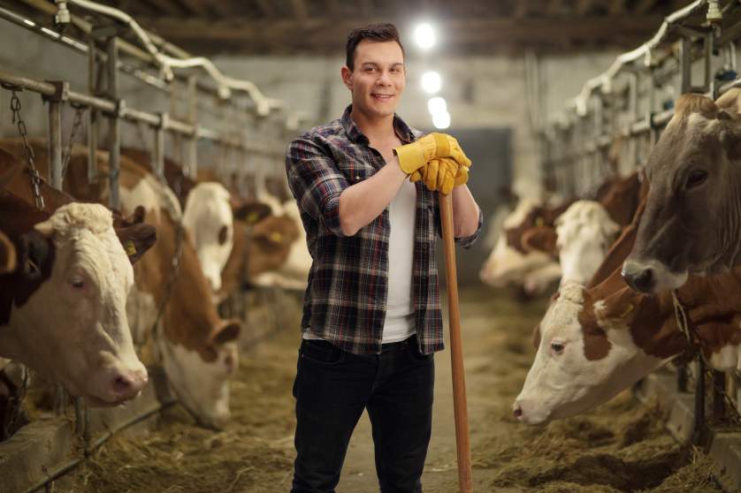 Young agricultural worker posing in a cowshed 