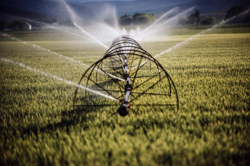 Agriculture