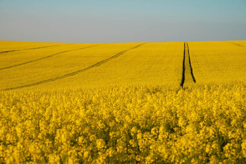 Agriculture_0 [nid:107105]