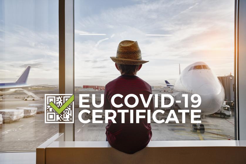 Child gazing the airplanes in the airport