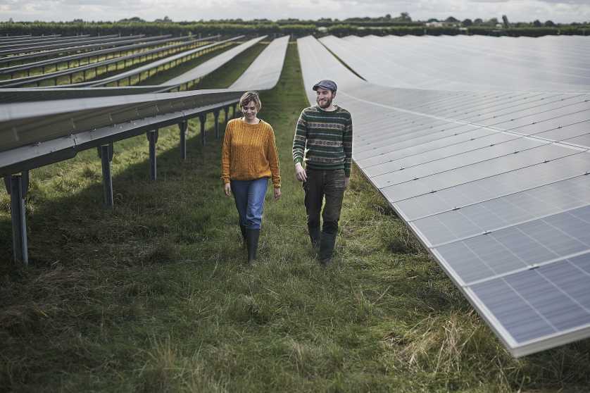 A lady and a gentle man walking in a field full of solar panels