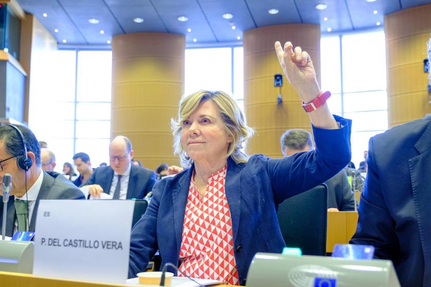 Pilar del Castillo MEP