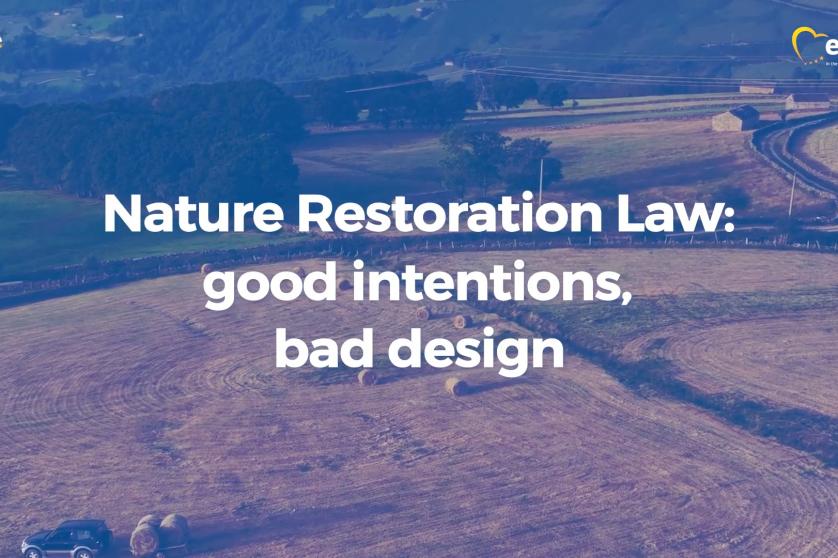 Nature restoration
