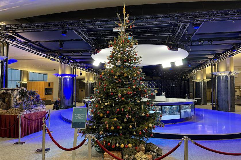 The Christmas Tree 2023 in the European Parliament by MEP Alexander Bernhuber