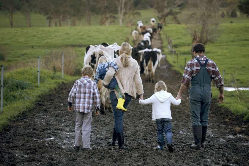 Familia con tres niños (3-9) caminando por un camino embarrado, vacas al fondo, vista trasera