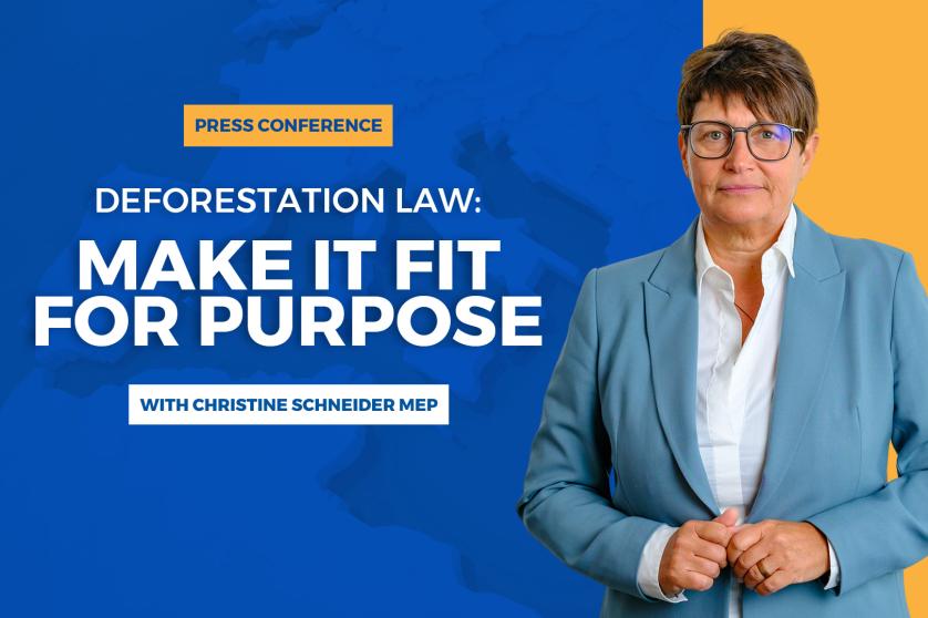 Press Briefing Christine Schneider MEP