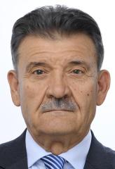 Mircea-Gheorghe HAVA