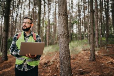 Ranger monitoring the woodland ecosystem