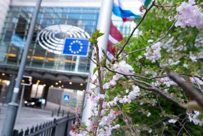 European Parliament Springtime