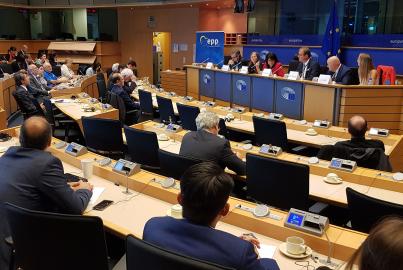 Michaela Šojdrová MEP