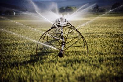 Agriculture