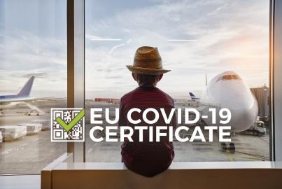 Child gazing the airplanes in the airport