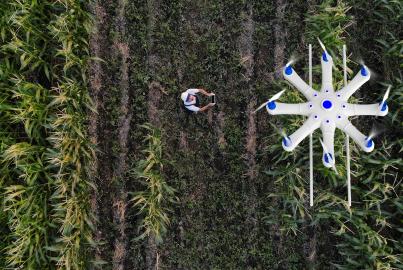 Farmer spraying his crops using a drone