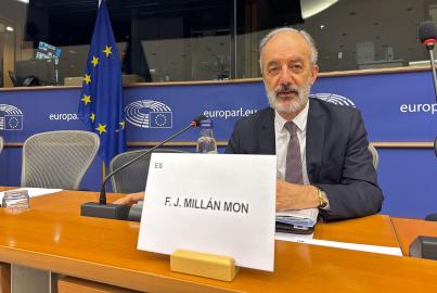 Francisco Millán Mon MEP