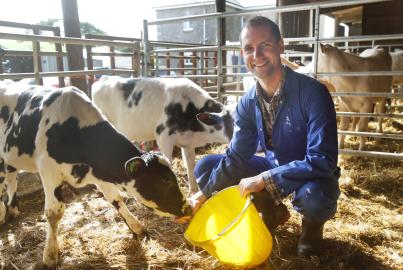 Νέος γεωργικός εργάτης ποζάρει σε στάβλο αγελάδων 