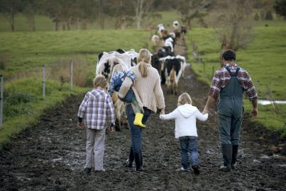 Famiglia con tre bambini (3-9) che cammina su una strada fangosa, mucche sullo sfondo, vista posteriore