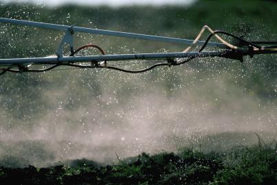 Detail of Spraying Manure Fertilizer on Field