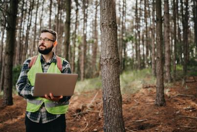 Ranger monitoring the woodland ecosystem