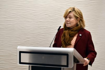 MEP Pilar del Castillo speaking from behind a lectern