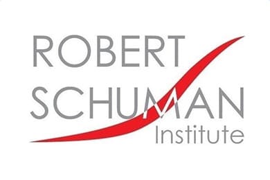 Robert schuman institute image